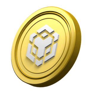 Schmückender BNB-Coin im Bereich mit Plattforminformationen