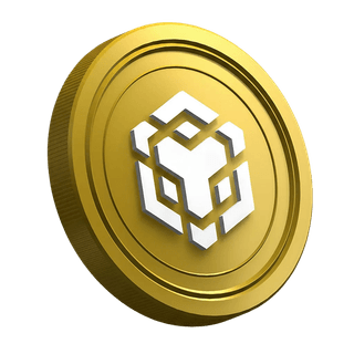 Auf der Leitfadenseite für neue Trader gezeigte BNB-Kryptowährung